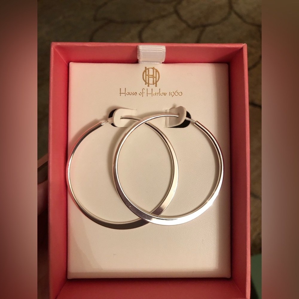 Silver Hoop Earrings